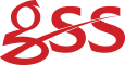 GSS